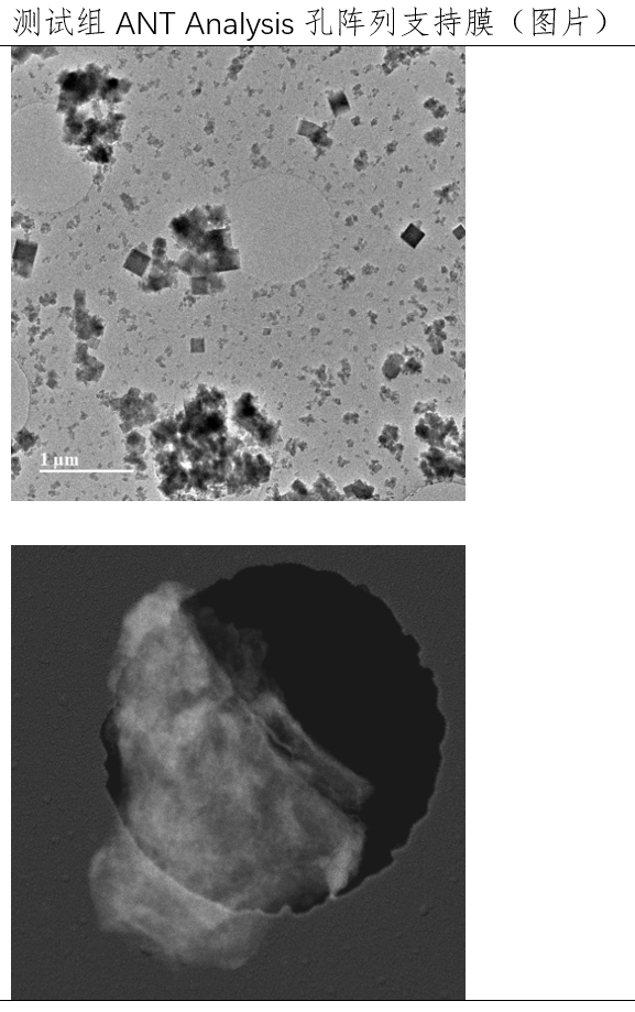ANT Analysis 支持膜 - 无积碳